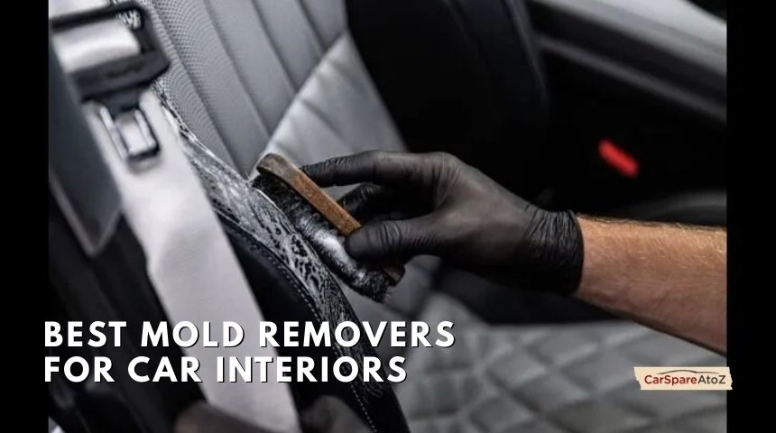 best mold removers for car interiors