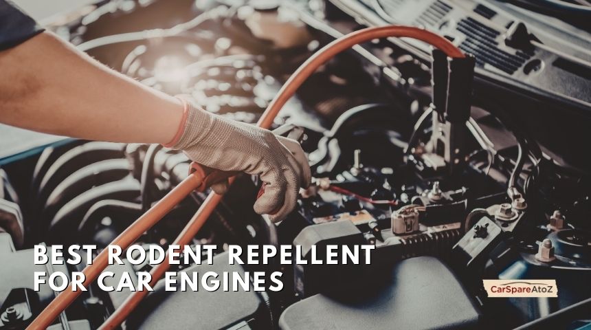 best rodent repellent for car engines