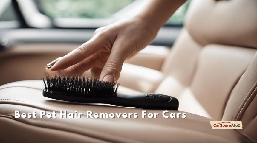 best pet hair removers for cars